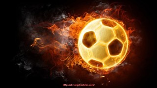 龙珠直播-腿部肌群专用健身器材介绍及训练指导