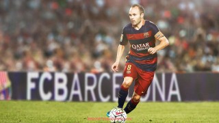 龙珠直播-德国品牌健身器材介绍：德国制造健身器材的精密与高端品质